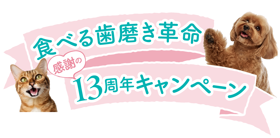 食べる歯磨き革命13周年キャンペーン