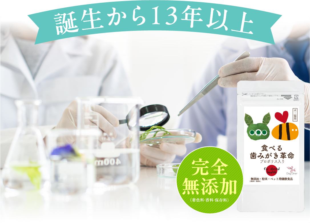 誕生から13年以上　完全無添加