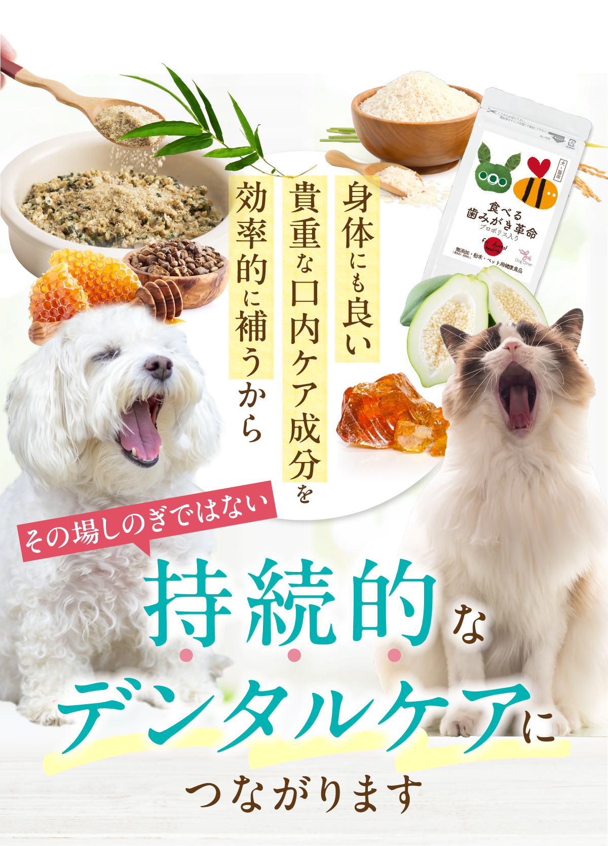 継続的なデンタルケアにつながります