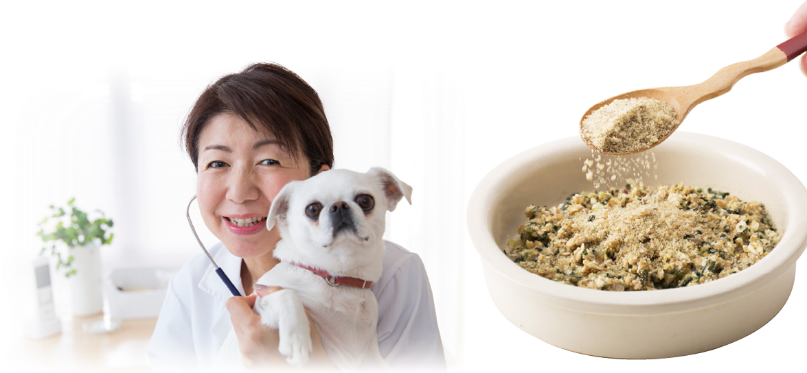 食べる歯磨き革命は、形状も口内環境に適してます