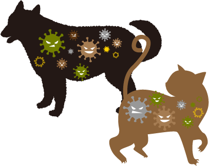 歯周の問題を放っておくと、愛犬・愛猫の体に菌がまわってしまう