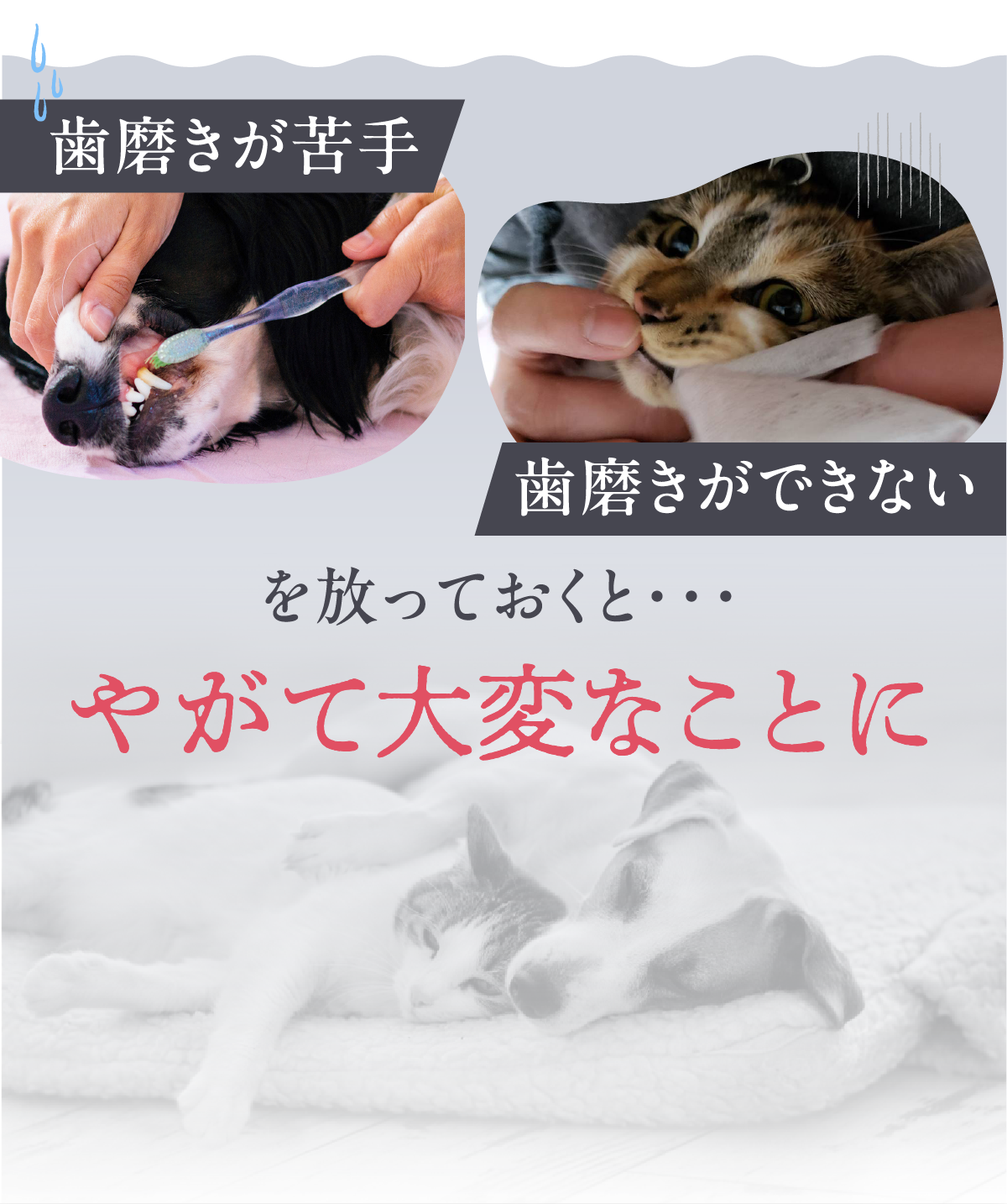 歯磨きが苦手・歯磨きができないを放っておくとやがて大変なことに