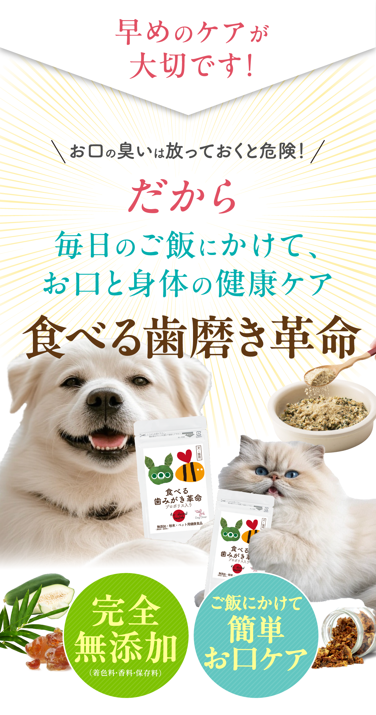 早めのケアが大切です！毎日ごはんにかけて、お口と身体の健康ケア食べる歯磨き革命