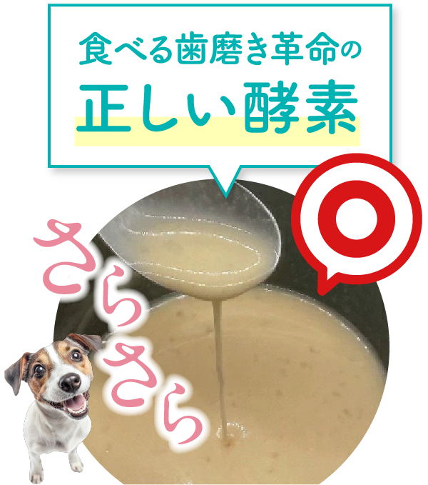 食べる歯磨き革命の正しい酵素