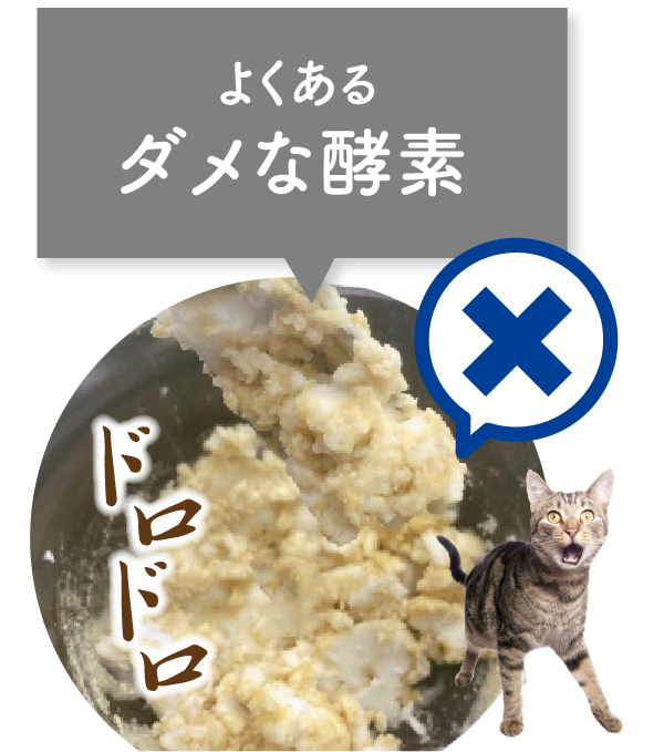 よくあるダメな酵素