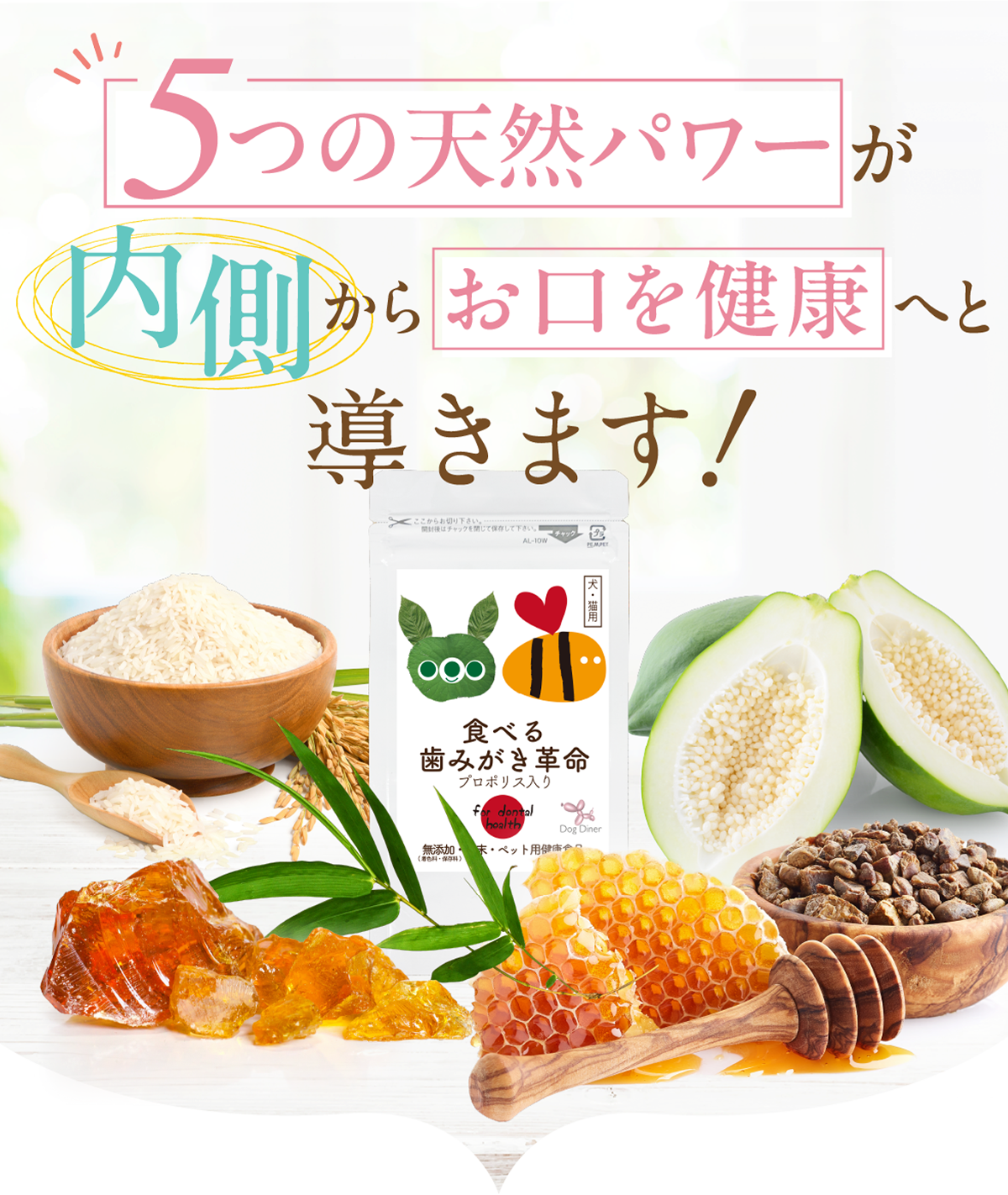 5つの天然パワーが内側からお口を健康へと導きます！