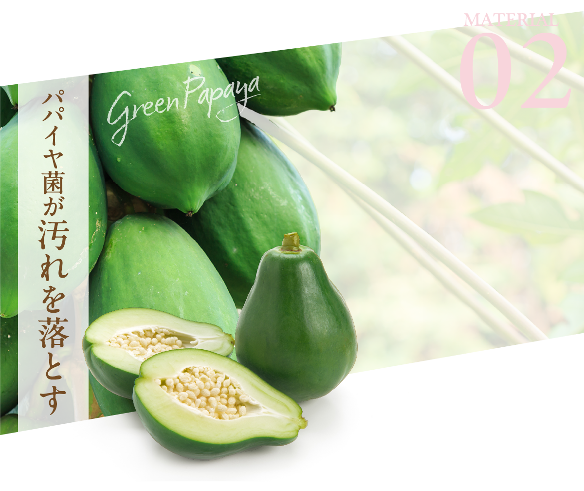 パパイヤ菌が汚れを落とす 青パパイヤ