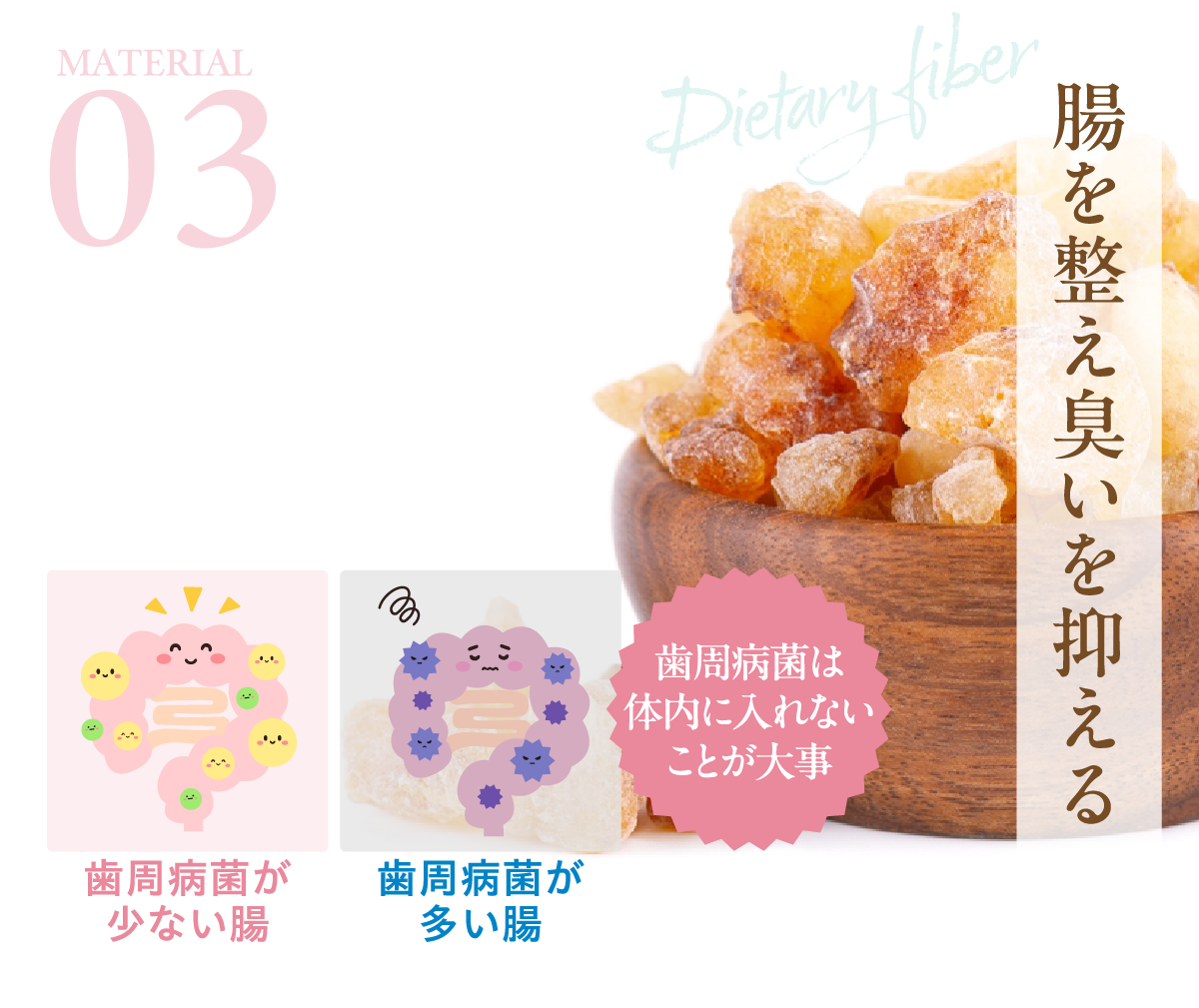 腸を整え臭いを抑える 水溶性食物繊維