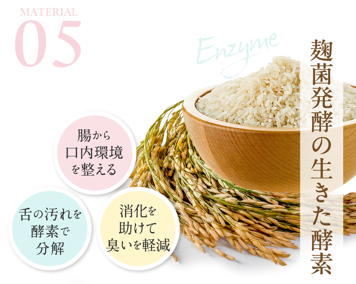麹菌発酵の生きた酵素