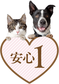 特典1