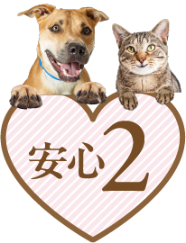特典2