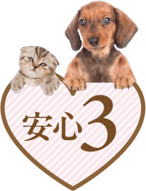 特典3