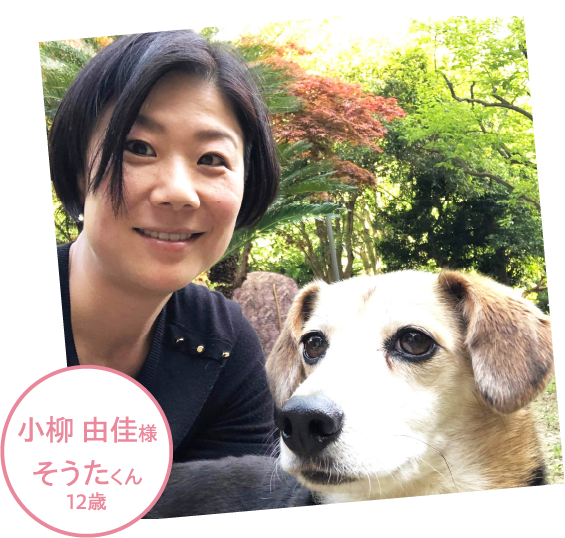 そうたくん 12歳