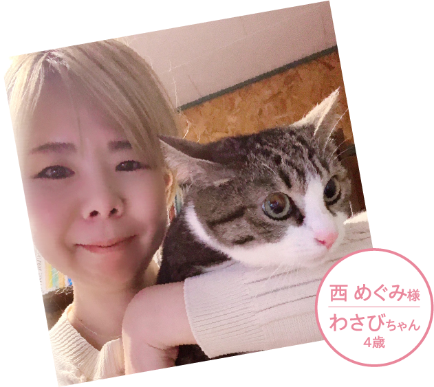 わさびちゃん 4歳