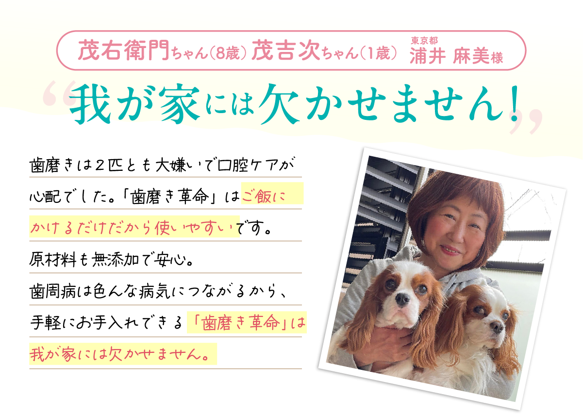 我が家には欠かせません！