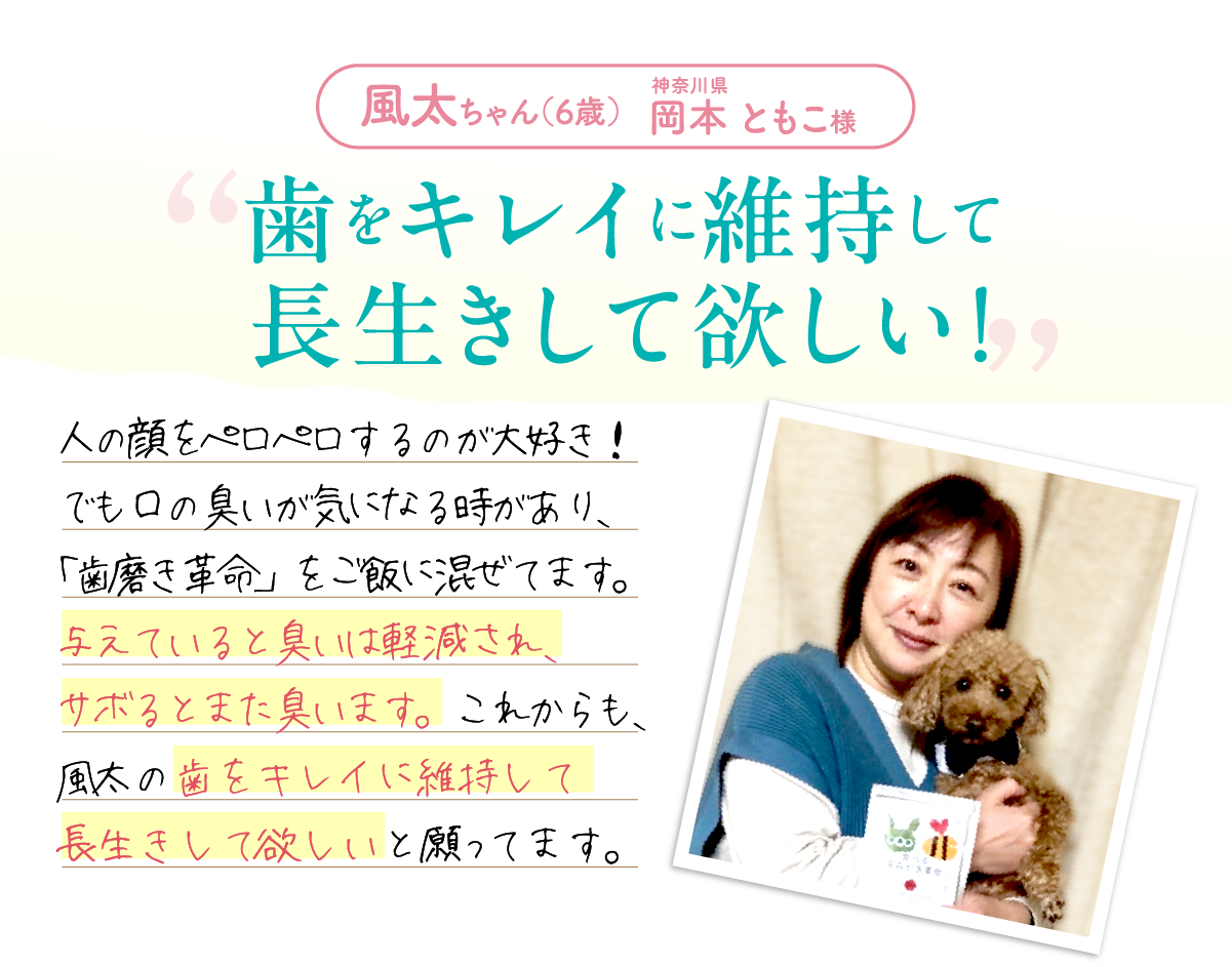 歯をきれいに維持して長生きして欲しい！