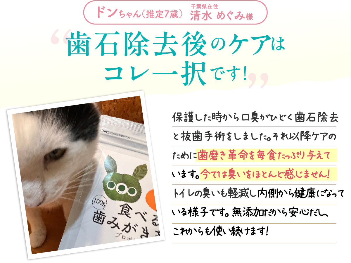 歯石除去後のケアはこれ一択です！