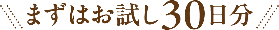 まずはお試し30日分