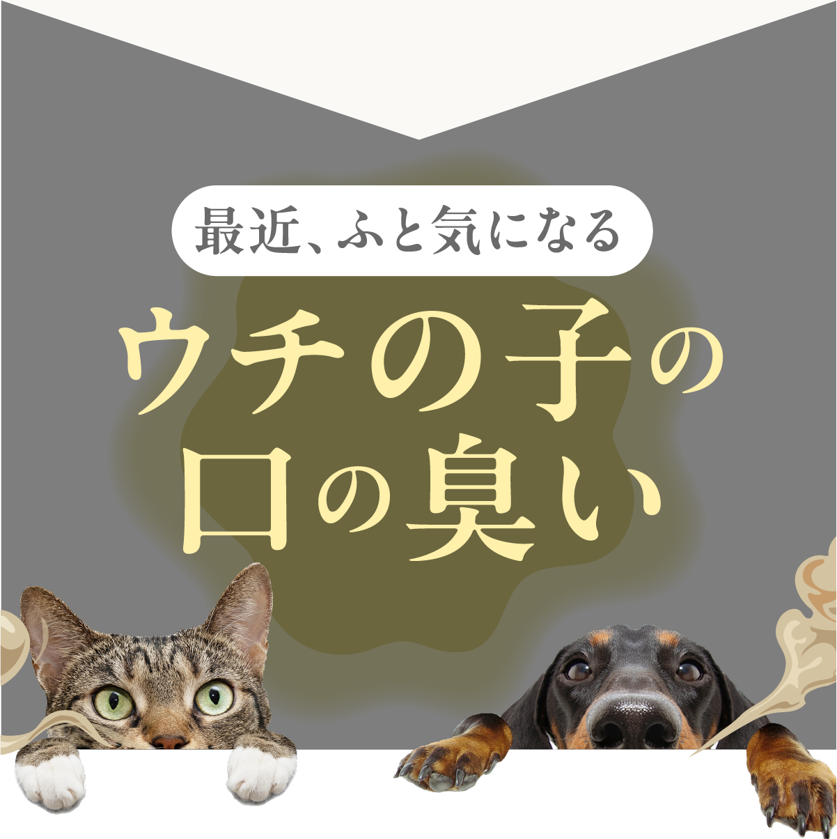 最近ふと気になるウチの子の口の臭い