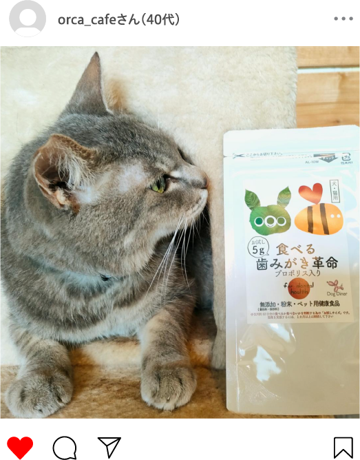 orca_cafeさん(40代)