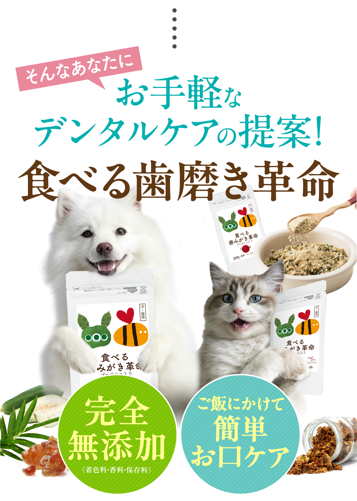 お手軽なデンタルケアの提案！完全無添加。食べる歯磨き革命！
